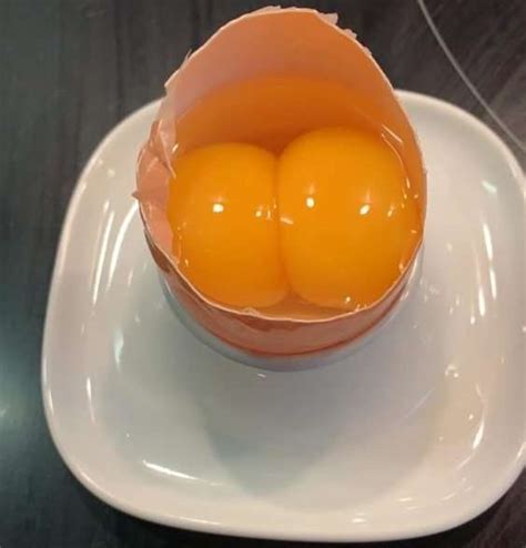 Double Yolk Eggs: All You Need To Know .
